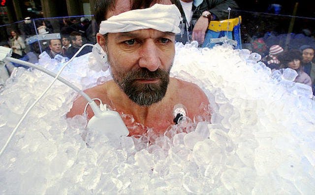 Rykke champignon Diskret The Rich Roll Podcast - Wim Hof on Elevating Consciousness & Amplifying  Human Potential • Podcast Notes