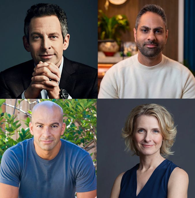 gås Gade Gavmild 599: New Insights from Sam Harris, Dr. Peter Attia, Ramit Sethi, and  Elizabeth Gilbert | The Tim Ferriss Show • Podcast Notes