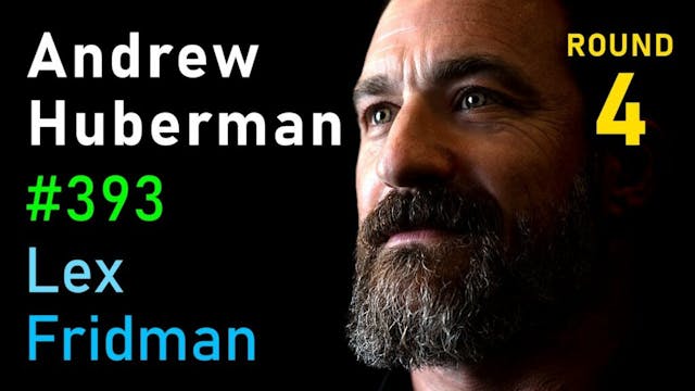 Andrew Huberman: Relationships, Drama, Betrayal, Sex, and Love