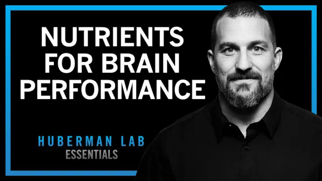 Chris Masterjohn: Fix Your Mitochondria, Creatine Is Not Just For Muscles,  Why Seed Oils Are A Trap, Train Like A Gymnast To Live Longer | Joe Rogan  Experience (#2420)  Podcast Notes