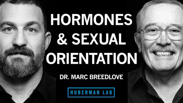 496: Dr. Andrew Huberman  The Science Of Peak Performance | Modern Wisdom   Podcast Notes