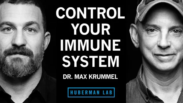 How To Prevent & Treat Colds & Flu